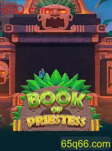 Explorando o Universo de BookOfPriestess: Um Jogo Inovador no Mundo Virtual